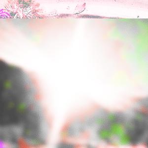 Grilled Cheese Sandwiches