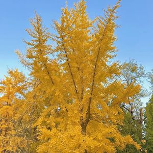 我们永远会是少年时的模样