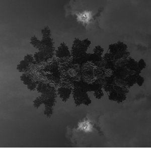 Cloud Watching