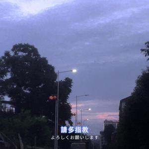 不枉（cover：汪小敏）