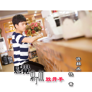 感觉累了就放开手(伴奏)