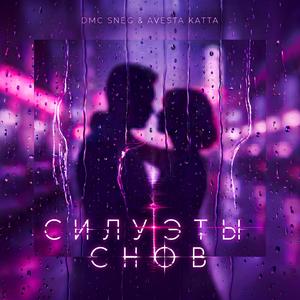 Силуэты снов