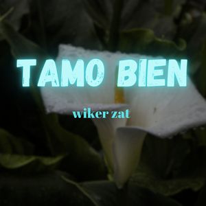 Tamo Bien