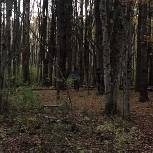 Lunch Table (Bonus Track)