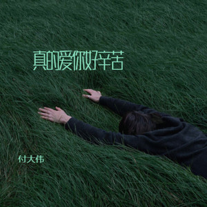 真的爱你好辛苦