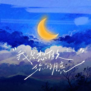 我只想做你的月亮