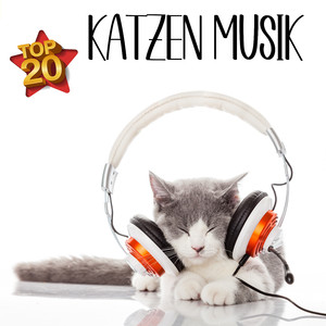 Wohlfühlzeit für die Katze
