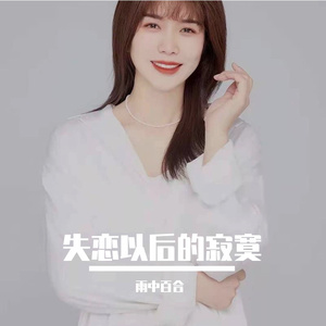 失恋以后的寂寞 (DJ版)