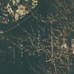 Still Fire in the Cold Air