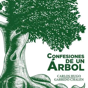 De Cómo Descubrí El Vuelo De Las Gaviotas en El Cielo