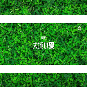 大城小爱（蒙语版）