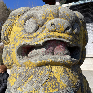 喝了一瓶精酿啤酒.wav