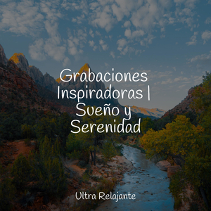 Conectividad