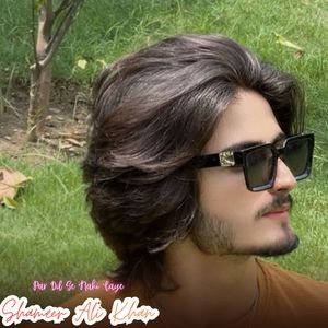 Par Dil Se Nahi Gaye