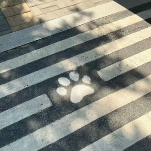 岔路口（翻自Mikey-18）