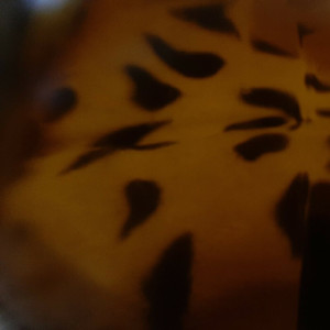 А твои глаза красивые