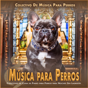 Mimos matinales para perros