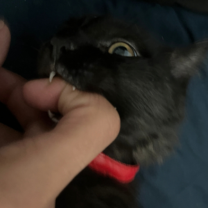 And Then I Lay Them Down Together