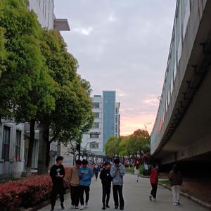 我只敢在水龙头打开的时候哭泣