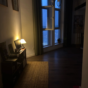 去岁千般皆如愿