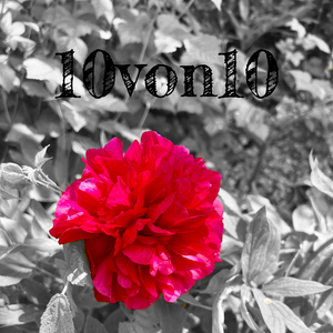 10von10