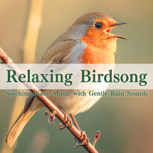 情緒安定・自律神経ケアに効く ストレス解消 熟睡α波 セロトニン促進音楽 (寝落ちのピアノの森)