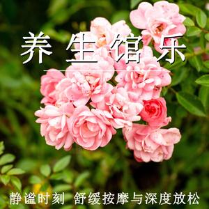 青竹禅心（轻音乐）