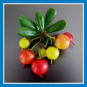 How Do You Know I Couldn't See You Clearly