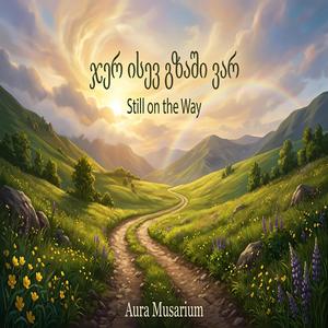 ჯერ ისევ გზაში ვარ