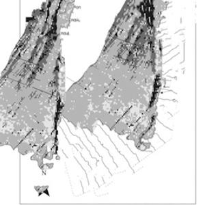 Mapping