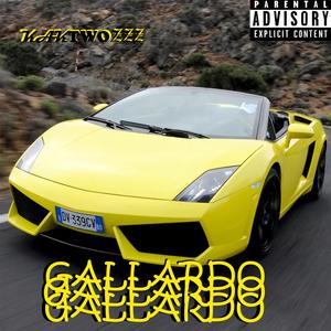 Gallardo