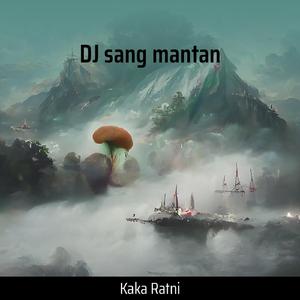 Dj Sang Mantan