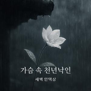 가슴 속 천년낙인