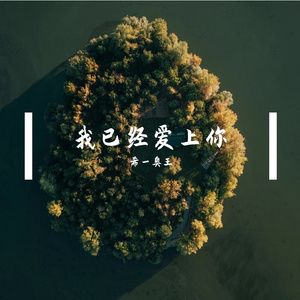 我已经爱上你