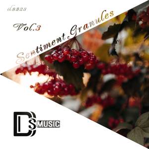 Shanti (Original Mix)