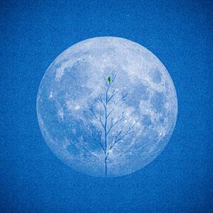 Она не виновата