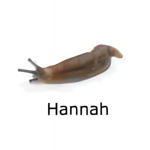 Hannah's Lullaby