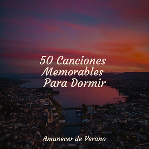 La Despedida del Horizonte Sonrojado