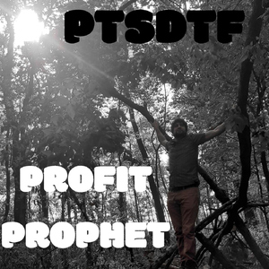 Prophet Profit