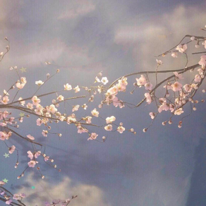 清明上河图 (翻自 李玉刚)