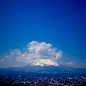 雪の雫（雪之滴）