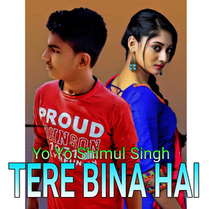 Tere Bina Hai