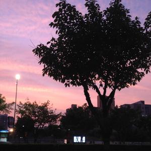 让我爱你一小时