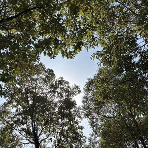 你姓名三个字竟是我一生的咒