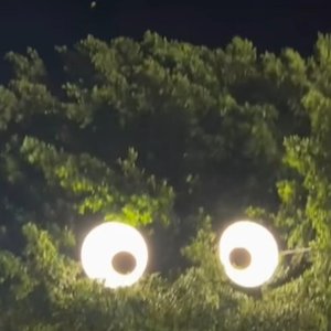 小牛马(活跃版)