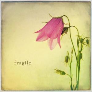 Fragile