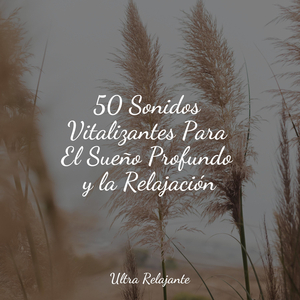 Pasanso Por Debajo