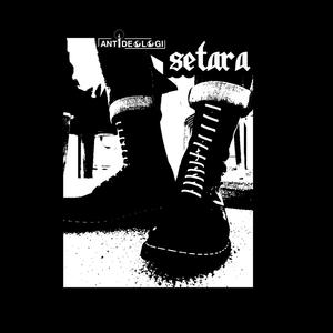 Setara