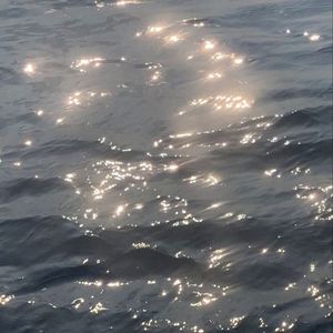 eryngium ( rué ° Altered)