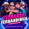 Mc Chael - Fernanda, Fernandinha - Remix Arrochadeira